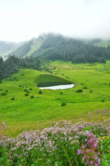 🇨🇦 Cheam Peak Overnight Hike & Camp Guide | MUST CAMP HERE! ⛺🎸