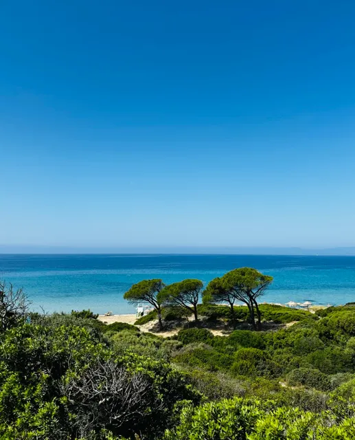 Italy's Seas Are Simply Magical! 🌊✨