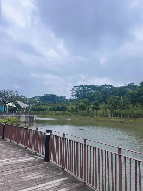🇸🇬 Stroll | From Punggol Waterway Park to Lorong Halus Wetlands 🌿🚶