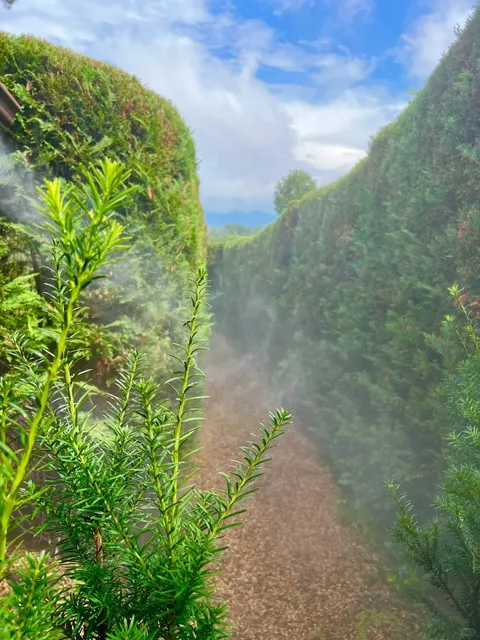 🇺🇸 DMV Travel｜✨ Explore the Enchanting Garden Maze ✨