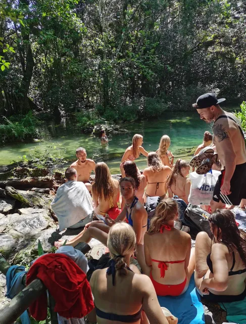 Waterfall Adventure & Lobster Feast 🌴🌊