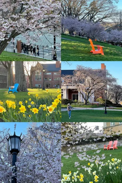 🌸 Tufts University - Boston's Most Stunning Spring Campus! 😍  