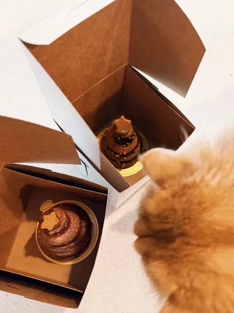 Seattle Life｜A Rainy Day Healed by a Pistachio Christmas Tree 🎄🥐