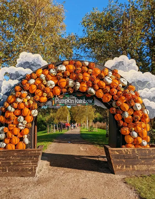 London Autumn Must-Visit for Kids | Who hasn't been to the Haunted Pumpkin Farm Yet?