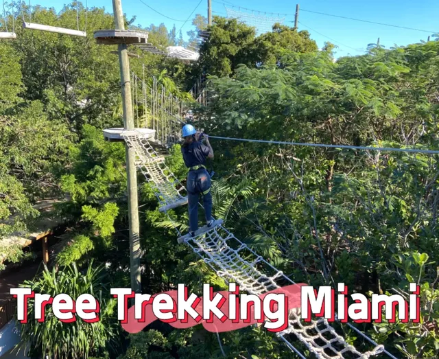 Treetop Trekking Miami | Conquer Your Fear of Heights!​​ 🌳🧗