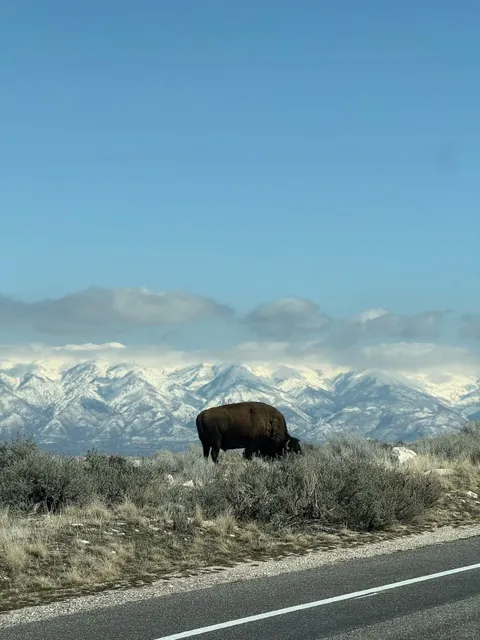 🇺🇸 Life Should Be Wasted in Places Like This