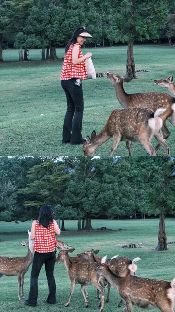  Japan 7-Day Travel Guide! 🗾