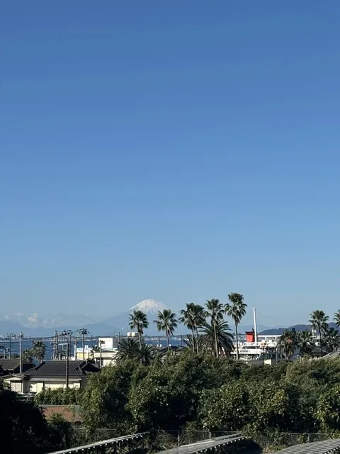 🌿🍃 Tokyo Surroundings (1) 🌸🌺