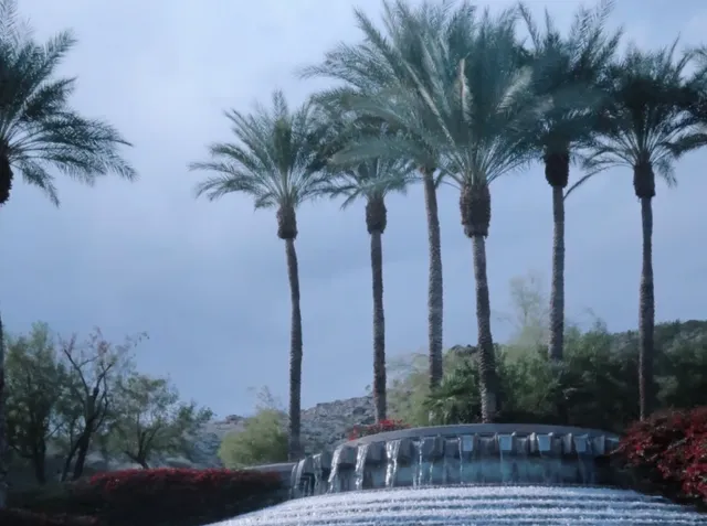 Desert Oasis Vibes 🌴 | Palm Springs’ “Hawaii-like” Escape  