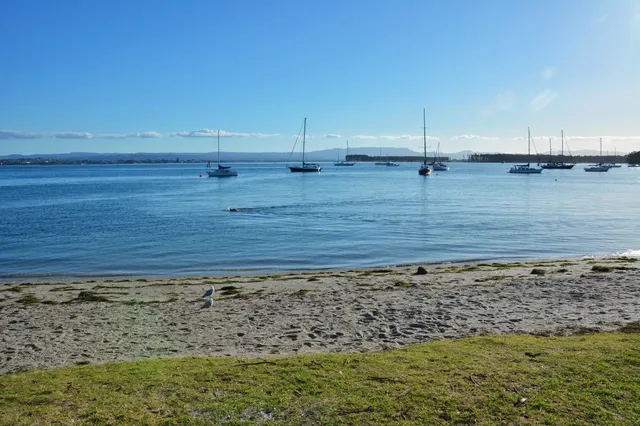 5: Tauranga 4/10 - Coastal Hikes & City Vibes