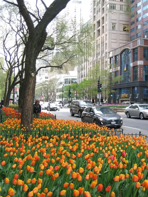 🇺🇸 Chicago Solo Travel Plog｜Enjoying My Me-Time in the Windy City