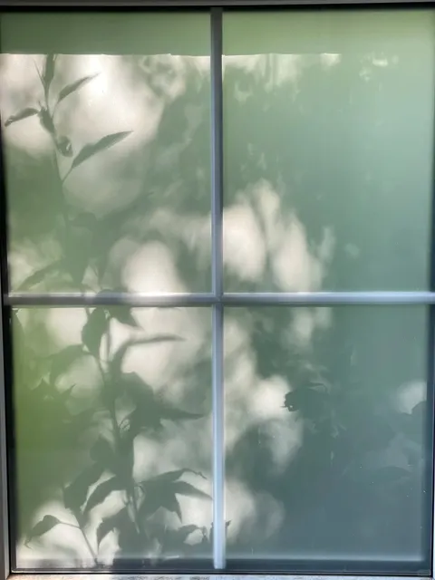 🇩🇪 Düsseldorf — Delicious Rice Noodles at Hong Yuan