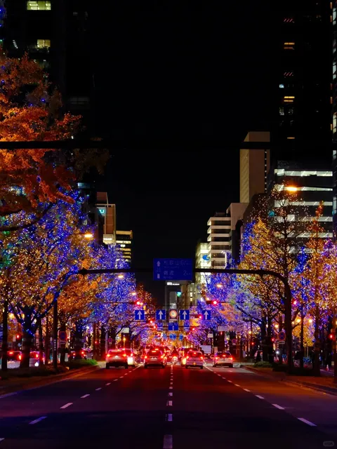 🌸🌺🌿🍃 Osaka Christmas 🎄 Night Views 