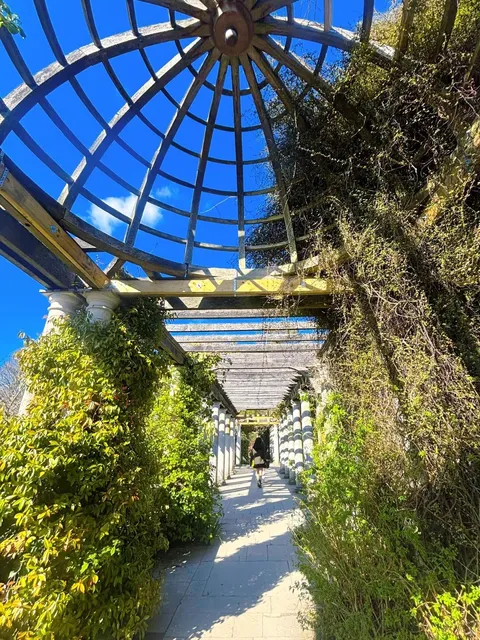 🌿 London's Secret Garden: Domes, Deer & Pure Magic