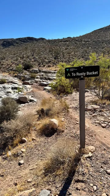 An Awesome Desert Riding Adventure! 🚵‍♂️🏜️