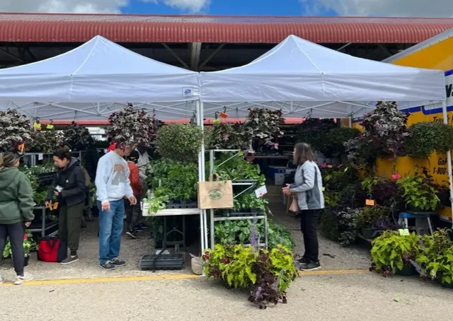 MINNEAPOLIS FARMERS MARKET | A Buzzing, Sensory Delight for Everyone! 