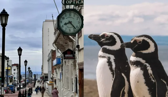 Punta Arenas, Chile 🇨🇱 | 2 Days at the Southern Edge of South Americ