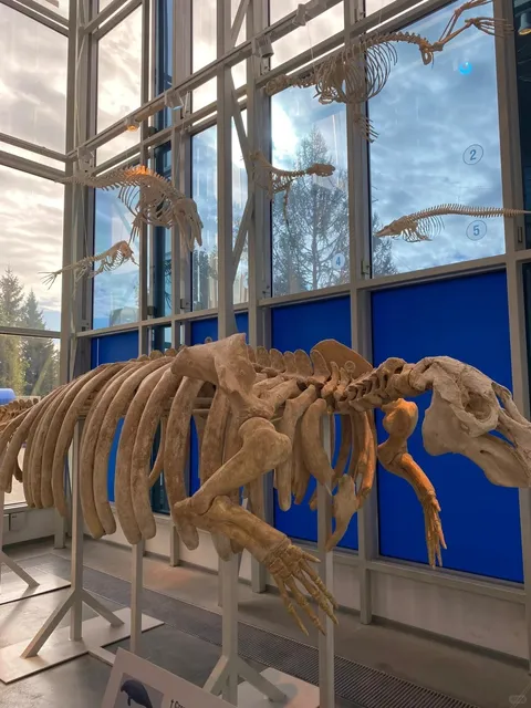 Kaliningrad: 4 Days in the Amber Kingdom — Russia’s Exclave!