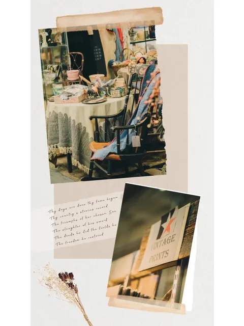 Milwaukee Area｜The Largest Vintage Store in Milwaukee 🛋️📻