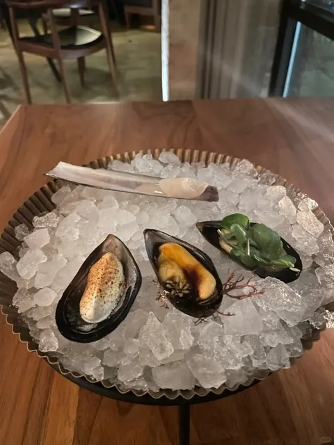 Empty Bottle — Cat Boss Peg’s Hidden Gem 🐱