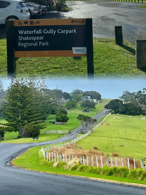 Hidden Gems | Auckland's Best Nature Walks (No City Needed!) 🌿