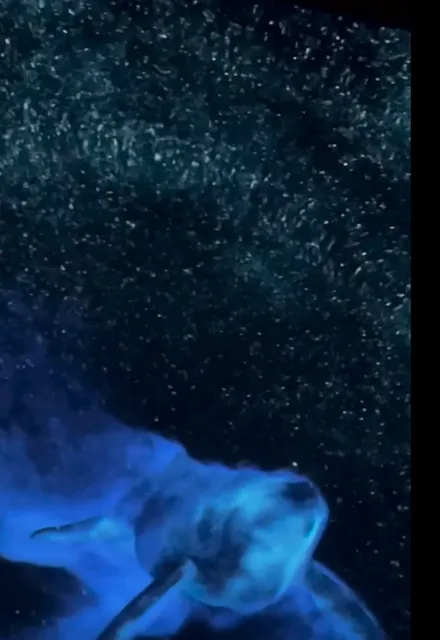  Richard Gilder Center for Science, Education, and Innovation