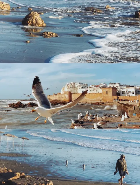 ​​Essaouira: Morocco’s Most Beautiful World Heritage Gem​​