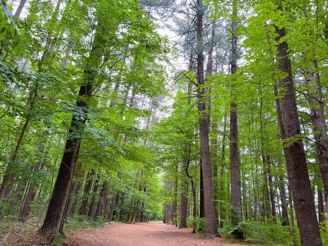 The Meaning of Wandering | Mine Falls Park, New Hampshire. 🍃✨