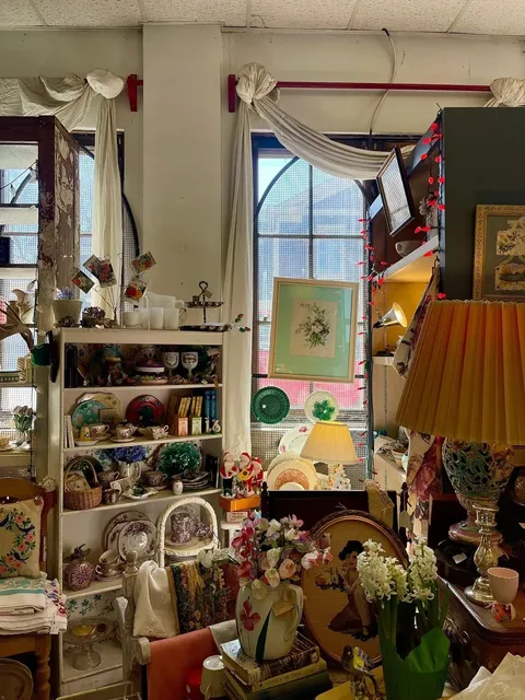 Cincinnati Thrifting | Mercantile Mall 🛍️✨