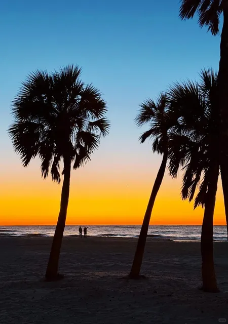 🌊 Tampa Adventure: Manatees, Dolphins & Sunsets! ☀️🐬✨
