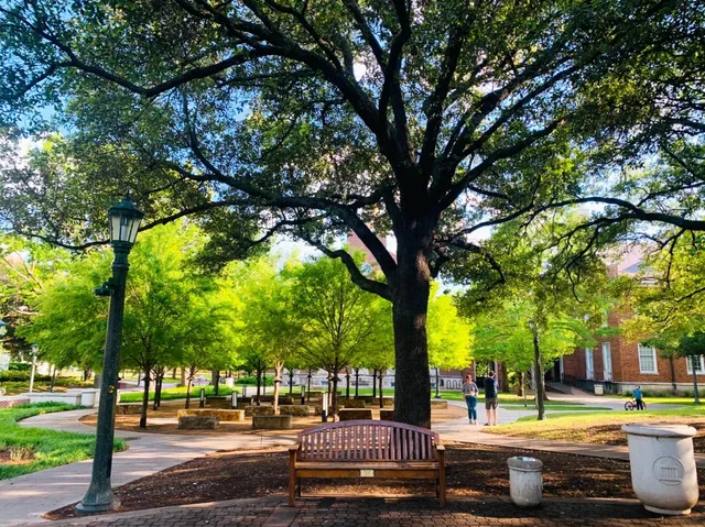 🎓 Southern Methodist University: Dallas’ Ivy-Adjacent Gem 🏛️（2）