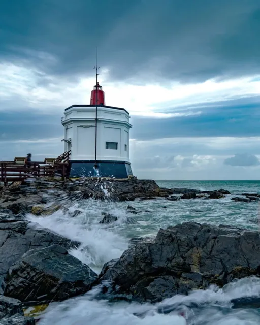 🌊 Invercargill | The Southernmost Black Gold: Pāua (Abalone)