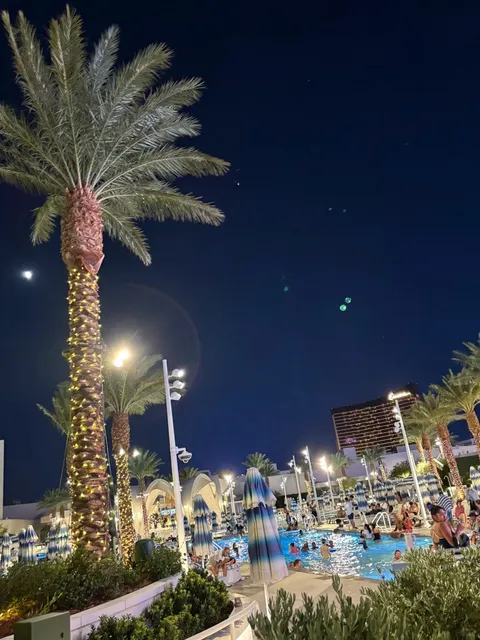 My First Trip to Las Vegas! 🎰✨