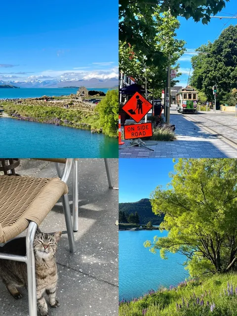 🇳🇿 New Zealand 12-Day Trip: Costs & Itinerary