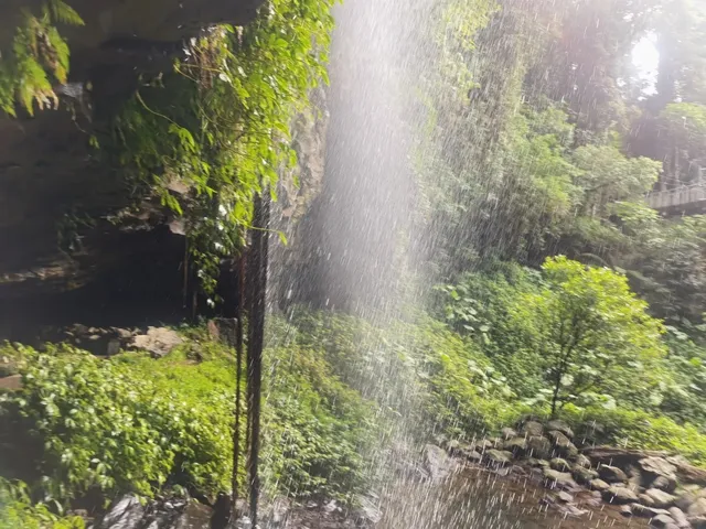 Coffs Harbour 3-Day Adventure Itinerary！🗺️✨