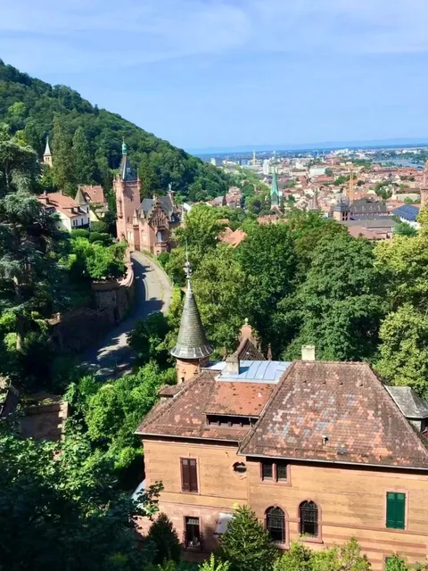  🇩🇪 Frankfurt Day Trip: Heidelberg + Rhine Valley Magic