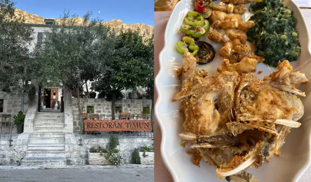 Montenegro｜Don’t Miss This Hidden Gem Near Kotor! 🐟🌊