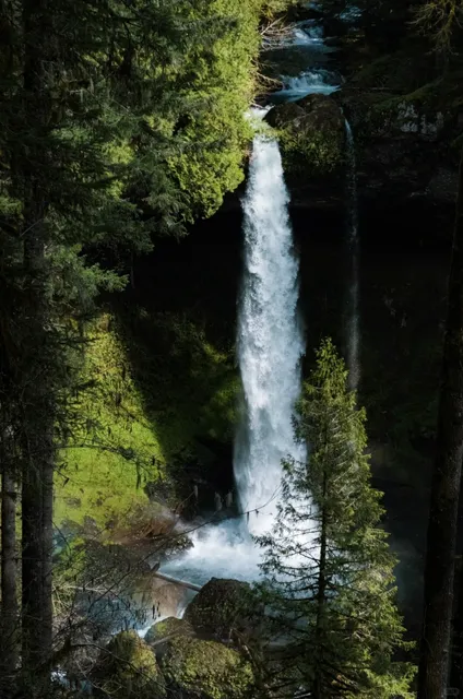 ​​Oregon's Waterfall Wonderland | Silver Falls State Park Adventure 🌊