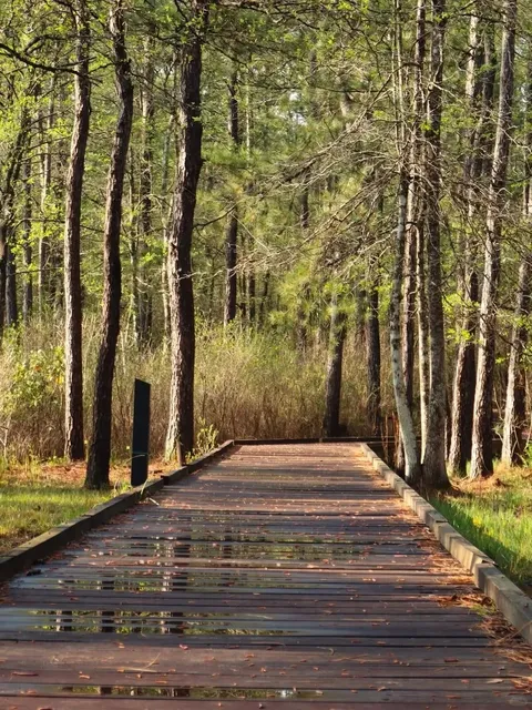 🌇 Houston Weekend Escape Guide | Wild Adventures in Nature 🥾