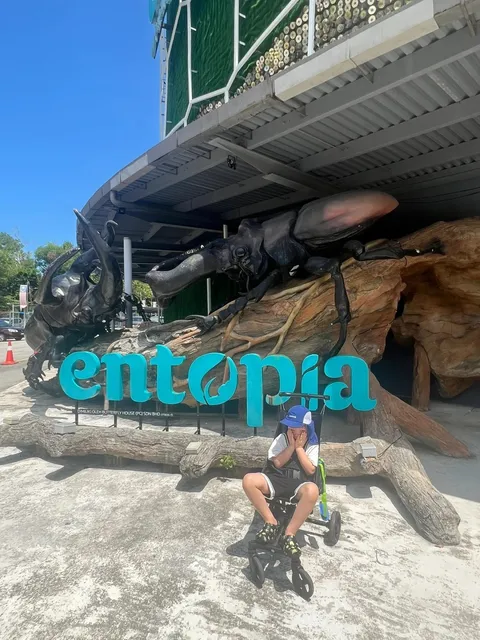 🇲🇾 KL Butterfly Park | A Hidden Oasis in the City! 🦋🌿