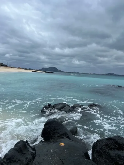 🇰🇷 Jeju in Winter❄️