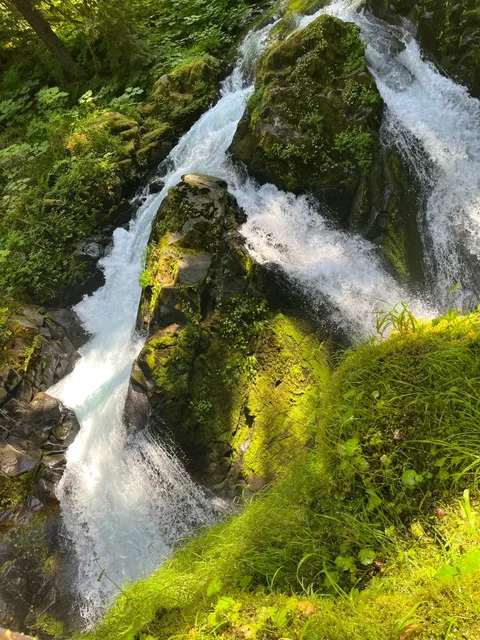 🌲 Olympic National Park Adventure 