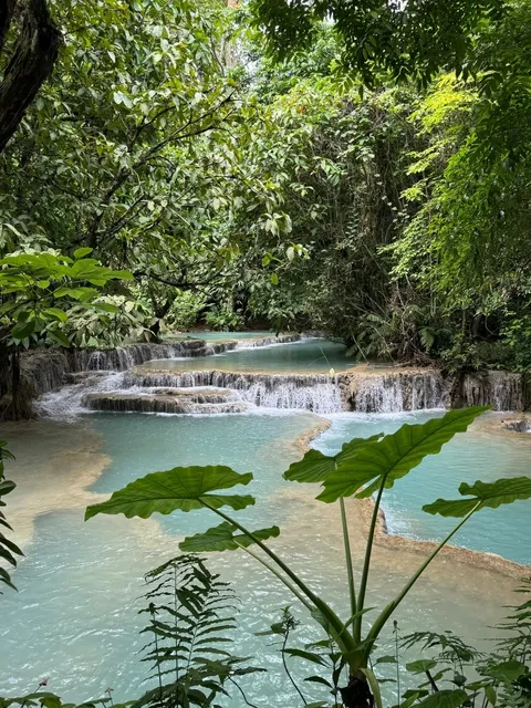 🇱🇦 Luang Prabang Travel Diary | 6 Days in Paradise