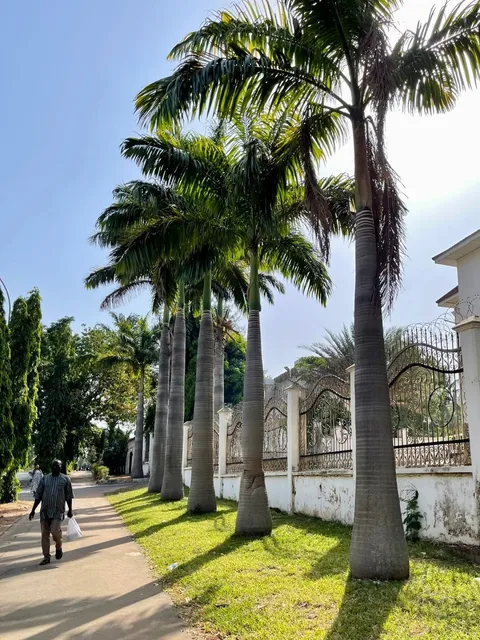 🇳🇬 Nigeria Business Trip Recap | Survival Guide for First-Timers