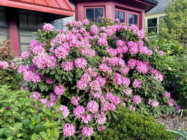 Whit's Frozen Custard in Asheville, NC 🍦❄️