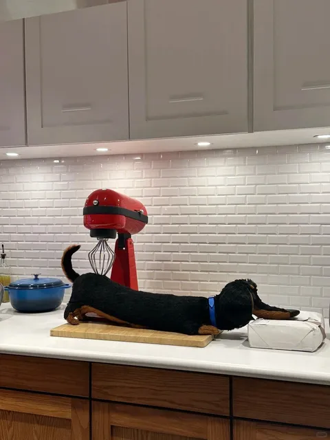 🎢 LA Universal Studios Guide — 1-Day Speedrun (No Express Pass!)