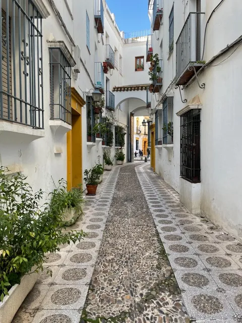 🇪🇸 Córdoba Travel Guide: A Spontaneous Parent-Approved Adventure!