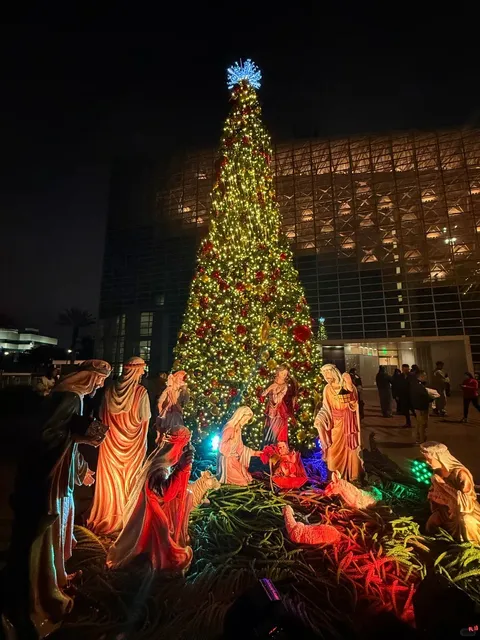 🎄 Christmas Trip to California Disneyland | Day 1 Guide 🚗🏨