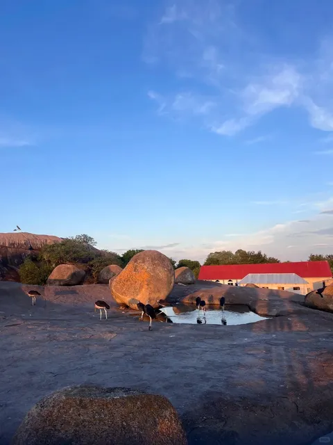 Rock City is FULL of ROCKS!