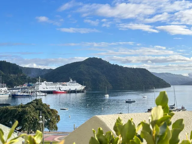 The South Island Port Town You Can't Miss!